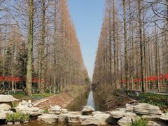 -东平国家森林公园