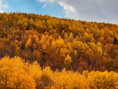 -塞罕坝国家级自然保护区