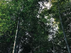 -南山风景名胜区