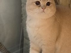 -平行世界·猫咖(首经贸店)