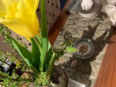 -七彩云南庆沣祥茶庄(金融街店)