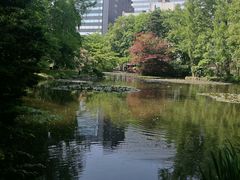 -北海道厅旧本厅舍(旧本庁舎)