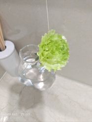 -HEYAN荷妍专业脱毛连锁机构