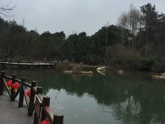 -天目湖山水园