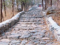 -阳台山自然风景区