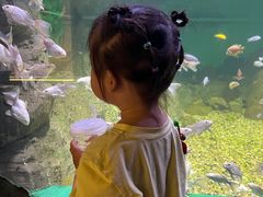 -常州海昌海洋探索馆