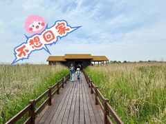 -宁波杭州湾国家湿地公园