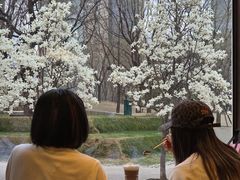 -安妮意大利餐厅(世贸天阶店)