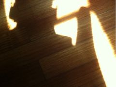 iphone_upload_pic-荔枝楼酒家(员村东璟店)