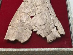 -安阳博物馆
