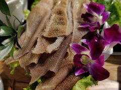 -珍巴奴毛肚牛肉小火锅(四惠店)