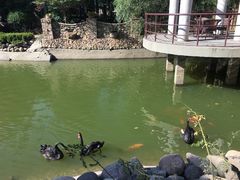 -芭东小镇温泉