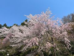 -三千院