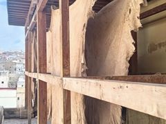 -穆莱拉赫制革厂