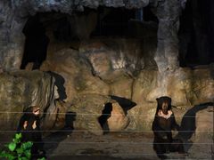 -清迈夜间动物园