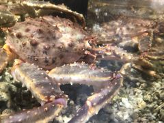 -盒马鲜生(曜一城店)
