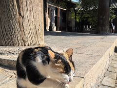 -窦大夫祠