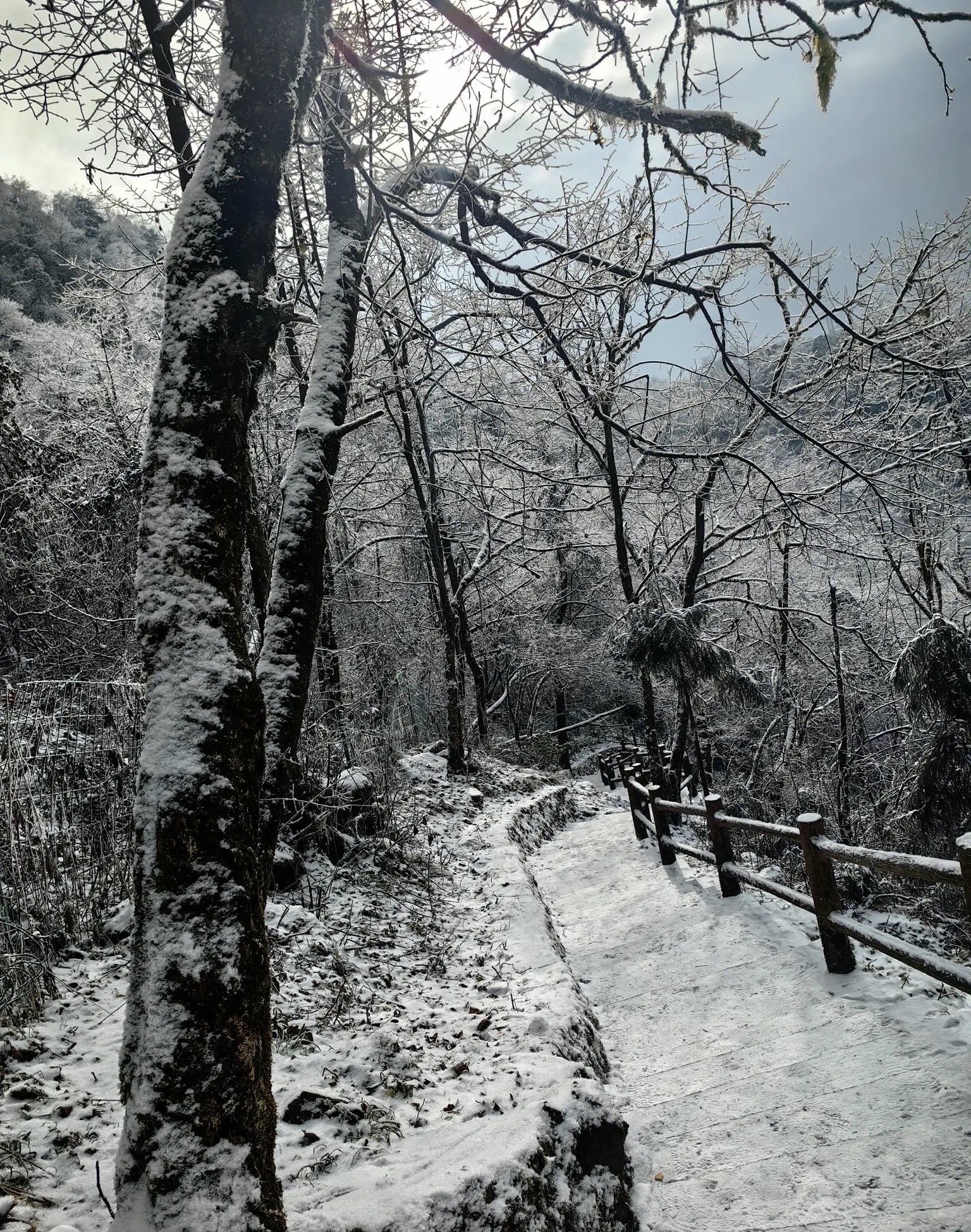 山上的雪景图片图片