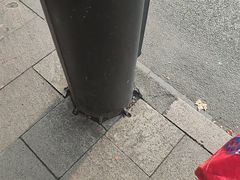 -南宋胡记(杭州体育场路店)