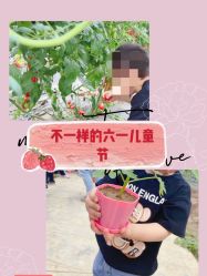 -麦粒鸟亲子游
