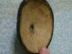 android_upload_pic-志龙皇冠吃货椰子铺