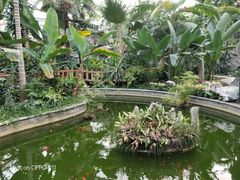 -北京植物园-展览温室