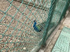 -南京金牛湖风景区