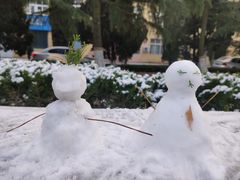 -阿水大杯茶(青岛大学店)