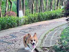 -重庆彩云湖湿地公园