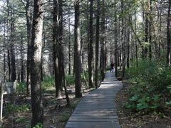 -白草畔自然风景区