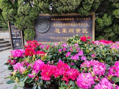 -蓬莱阁景区