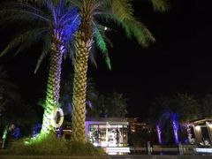 -鹭江潮餐厅•福建菜(鹭江佲家酒店)