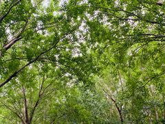 -长春公园(普阳街道)