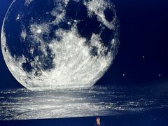 -成都金融城演艺中心