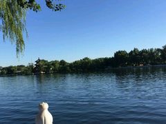 -什刹海
