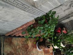 -王明古法砂锅居(开化寺店)
