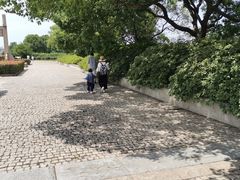 -望海·帆船主题咖啡厅•品茗下午茶(石湖景区店)