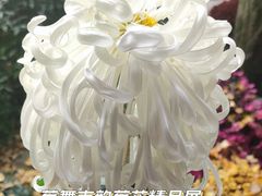 -杭州植物园