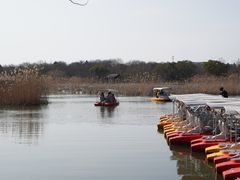 -同里国家湿地公园