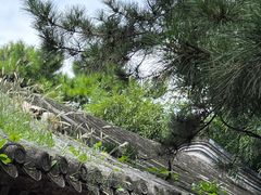-颐和园