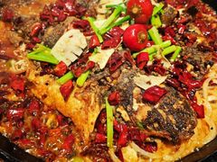 -老板恋上鱼(恒隆广场店)