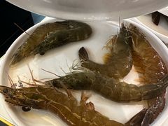 -苏格里岛自助烤肉海鲜火锅(成都金牛万达店)