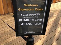 -怀托摩萤火虫洞