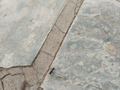 -北京天湖会议中心