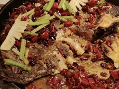 -老板恋上鱼(恒隆广场店)