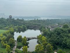 -张坝桂圆林公园