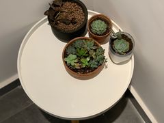 -稀物集咖啡(徽州大道店)