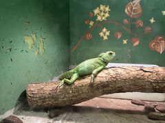 -上海大自然野生昆虫馆