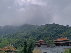 -南海湾森林生态园