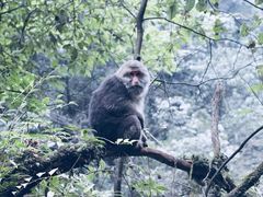 -西岭雪山大飞水景区